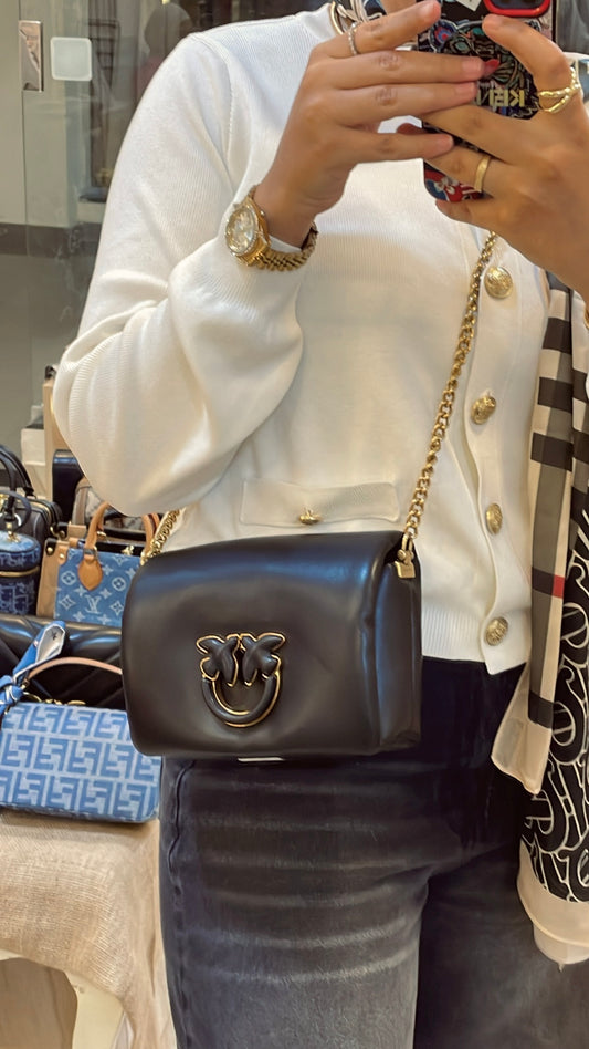 Pinko bag