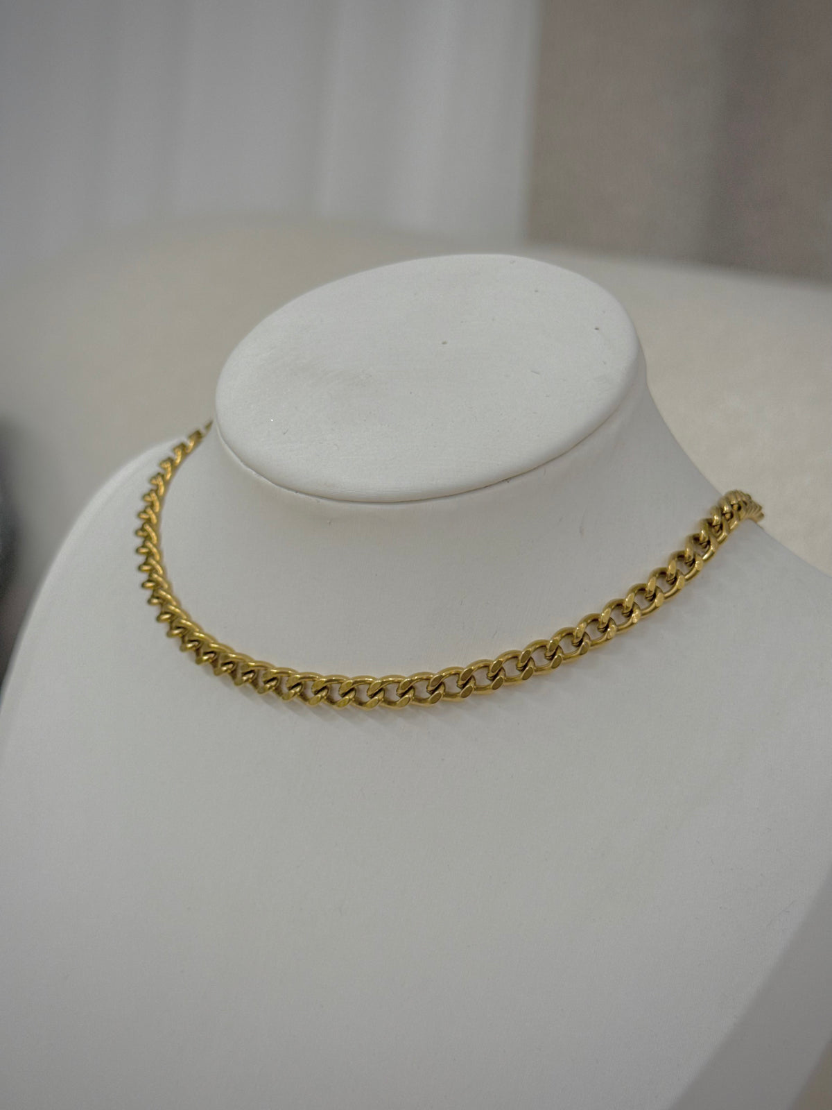 Stainless Steel Necklace