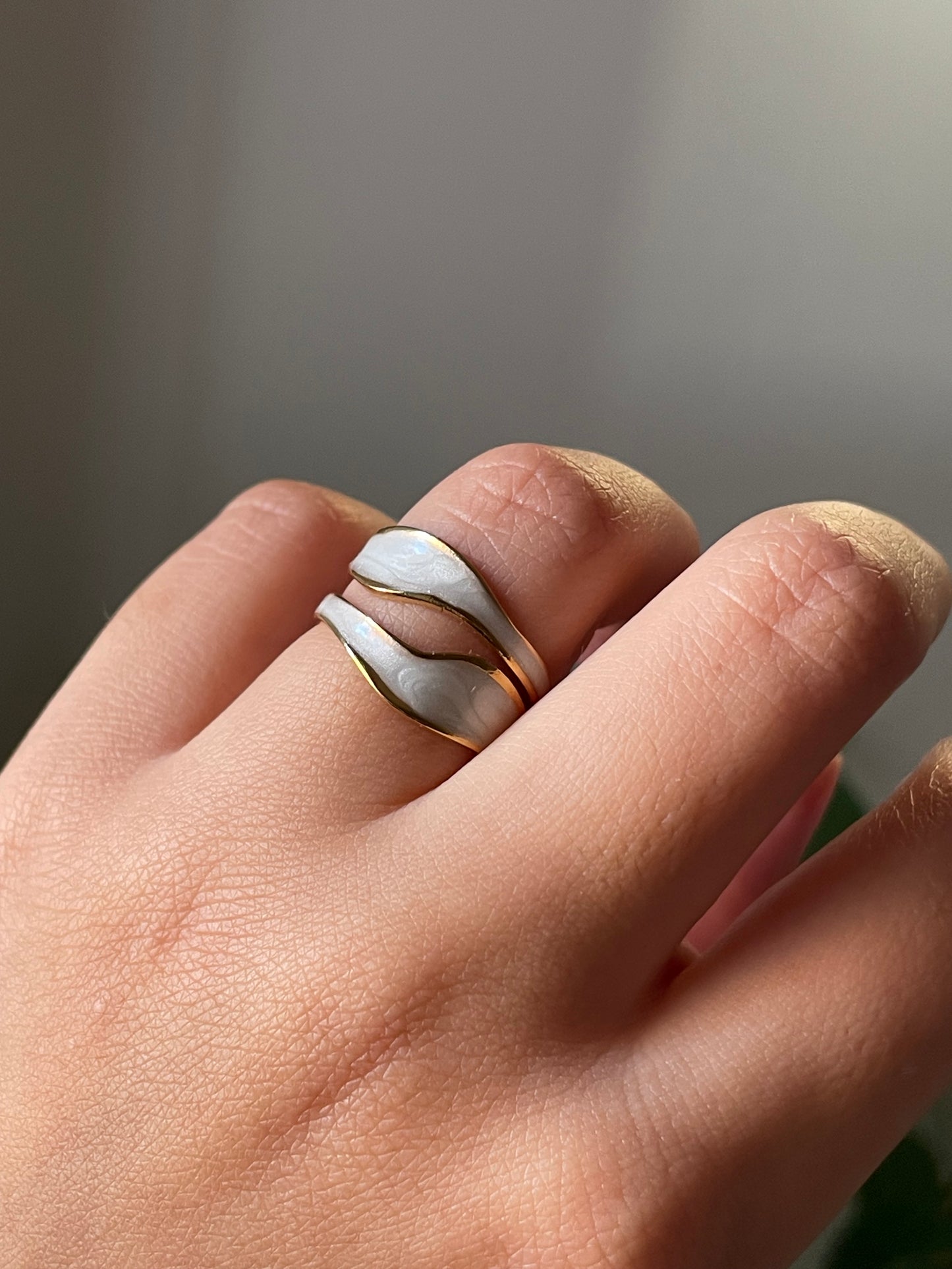 A1 Stainless steel ring