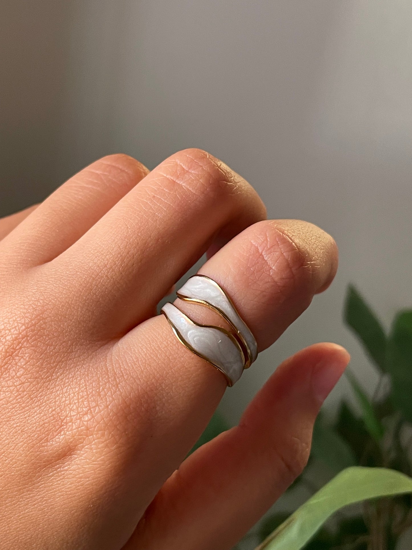 A1 Stainless steel ring